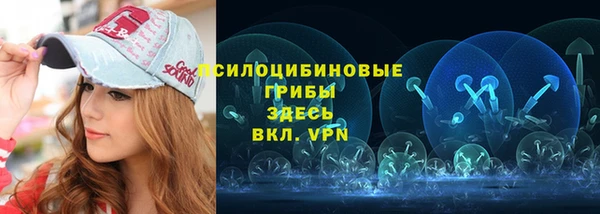 прущие грибы Белокуриха