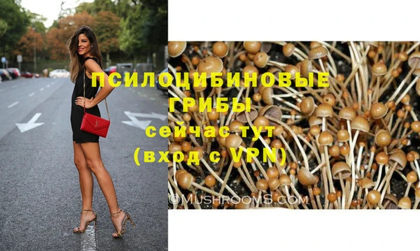 прущие грибы Белокуриха