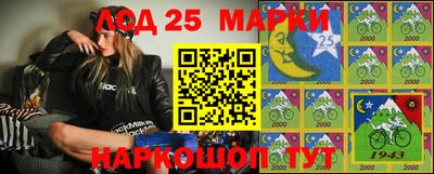 шишки Новодвинск