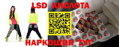 гидропоника Новокубанск