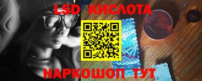 шишки Новодвинск