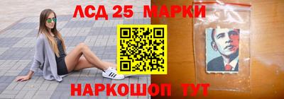 молекула духа Новозыбков