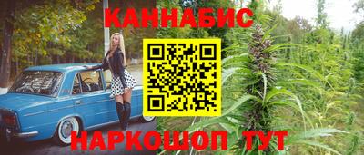 молекула духа Новозыбков