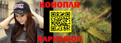 молекула духа Новозыбков