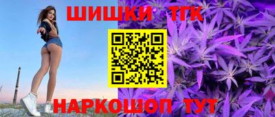 шишки Новодвинск