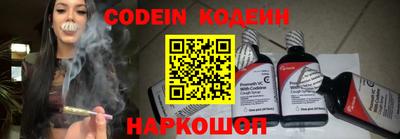 молекула духа Новозыбков