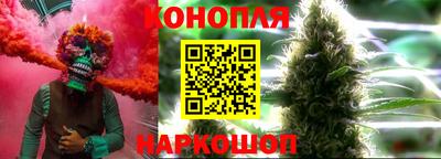 шишки Новодвинск