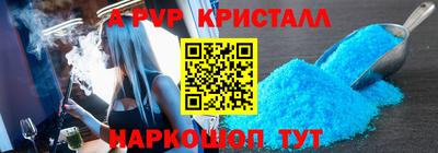 шишки Новодвинск