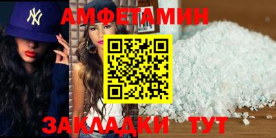 шишки Новодвинск