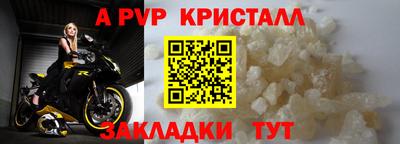 шишки Новодвинск