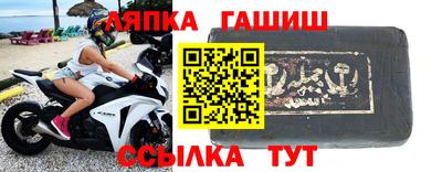 шишки Новодвинск