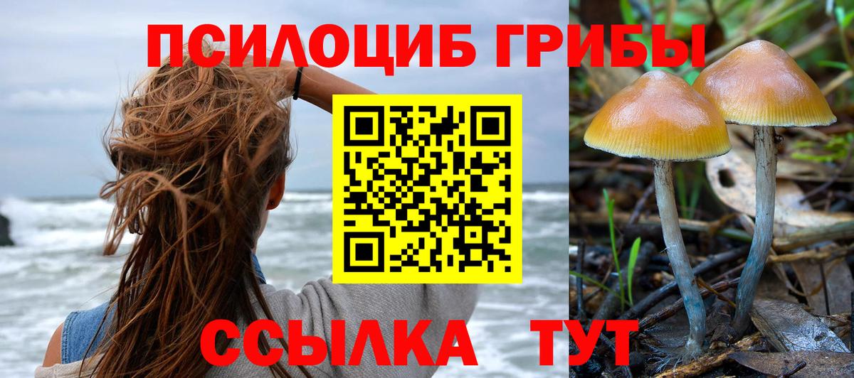 цена   Галлюциногенные грибы Psilocybe  Вход с VPN  Дагестанские Огни  Галлюциногенные грибы прущие грибы 